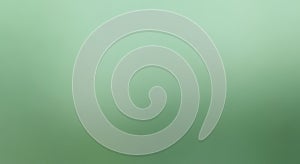 Soft Green Gradient Background with Subtle Texture