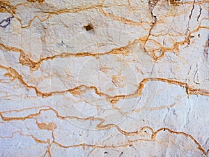 Smooth surface of layered sandstone sediment rock.  Colorful sandstone