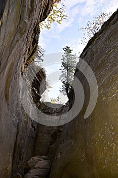 Smooth surfaces of stone megaliths in the town of Kamenny Gorod hint at their artificial origin