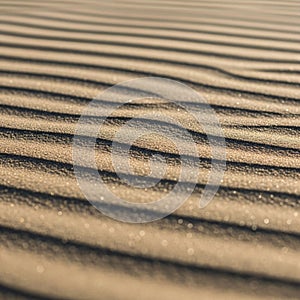 Smooth texture of the sand, creating a pattern of light and shadow