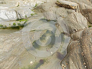 Smooth tide pools at the beach