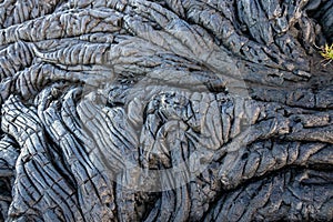 The smooth, undulating surface of frozen pahoehoe lava