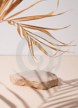 Smooth, uneven beige stone slab on a textured light background with a soft shadow from a dry palm leaf