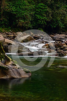 Smooth waters in river in a forrest