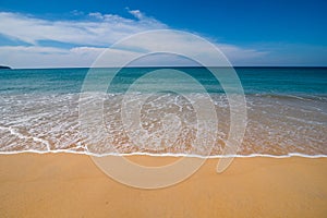 Smooth wave on the beach