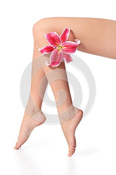 Smooth and waxed perfect woman legs with a flower photo