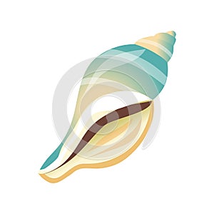 Smooth white and blue sea shell, an empty shell of a sea mollusk. Colorful cartoon illustration