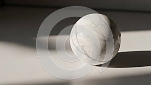 Composition highlight the natural beauty and elegance of the