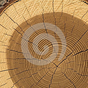 Smooth white marble surface with subtle pink and grey veining. The pattern features