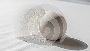 Scene captures the interplay between light texture and movement