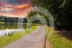 A smooth winding footpath along silky green lake water surrounded by lush green trees and grass with ducks and geese