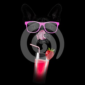 Smoothie millshake cocktail dog