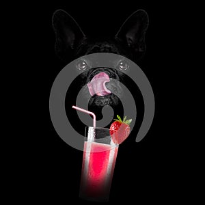 Smoothie millshake cocktail dog