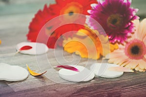 Smoothing cotton pads. Live flowers on the background with cotton discs, sponge