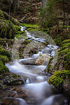 Smoothly flowing stream of water in the woods photo