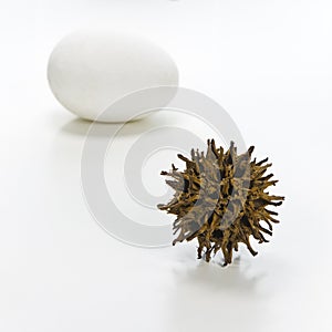 Smoothly versus wrinkly concept image isolated on a white background photo