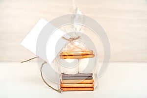 Smore - cookies, chocolate and marshmallows - traditional dessert - square favor tag mockup