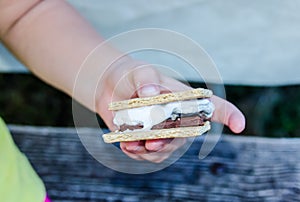 Smore`s, a delicious sweet treat with roasted marshmallow, graham cracker and chocolate.