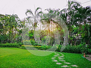 Smoth green grass lawn backyard with curve pattern walkway of gravel stepping stone on fresh greenery turf in a garden, flower