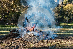 Smouldering campfire in woodland