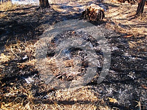 SMOULDERING GRASS FIRE IN WINTER