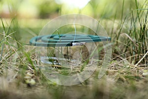 Smouldering insect repellent coil on grass outdoors