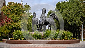 `SMU Mustangs`, a bronze sculpture by artist Miley Frost ont he campus of Southern Methodist University in Dallas, Texas