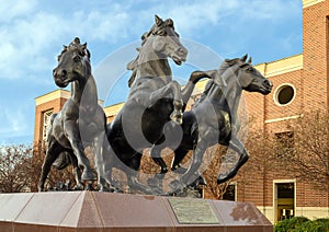 `SMU Mustangs`, a bronze sculpture by artist Miley Frost ont he campus of Southern Methodist University in Dallas, Texas