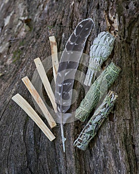 Smudging kit - Grade A barred turkey smudging feather, Peruvian Palo Santo holy wood sticks, Wildcrafted dried White Sage photo