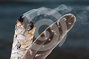 Smudging Ritual using burning thick leafy bundle of White Sage Grade A barred Turkey Smudging Feather on the beach at sunrise photo