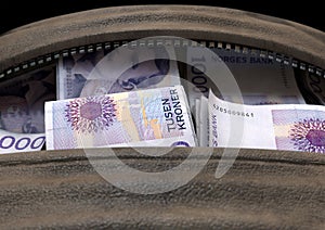 Illicit Cash In A Brown Duffel Bag photo