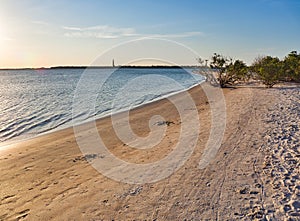 Smyrna Dunes Park in Florida