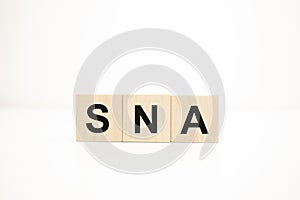 sna concept on wooden cubes. Business concept