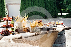 Snack bar. Reception table with appetizers, fries and cheeses. Unhealthy food. Party with buffet.