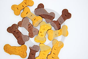 Snack, or cookies or prize to give the dog, to reward good behavior