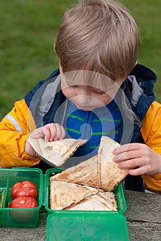 Snack time at a picnic