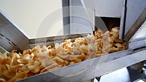 Snackes on manufacturing conveyor of food factory