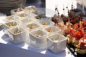 Snacks and canapes and tartlets stuffed in the assortment on the buffet table.