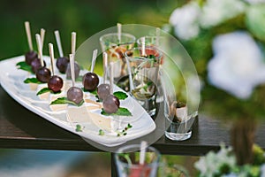 Snacks for cocktail party