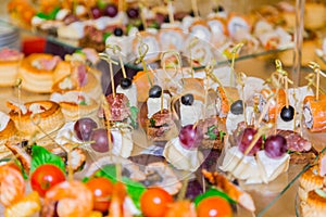 Snacks, fish and meat specialities on the buffet. A gala reception. Served tables. Catering