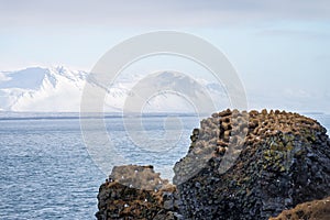 Snaefellsnes peninsula landscape, Iceland