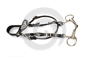 Snaffle bridle in studio