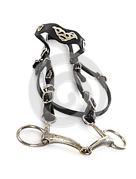 Snaffle bridle in studio