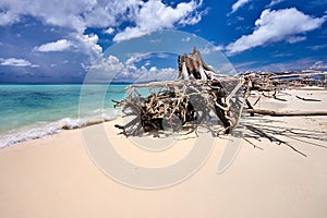 Snag on the beautiful beach and blue sky with clouds