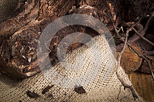 Snag on burlap at night