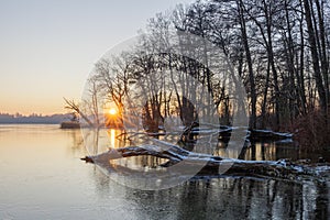 Snag Trees in a Pond at Winter Sunset