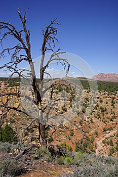 Snags overlook Huber wash