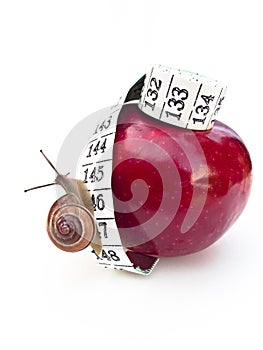 Snail on Apple