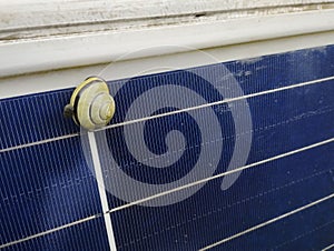 A Snail With A Baby On A Solar Panel