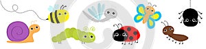 Snail, beetle, ladybug ladybird, dragonfly, ant, butterfly, green caterpillar, spider, honey bee. Insect set. Cute cartoon kawaii